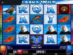 Alaska Wild By Casino Technology