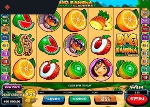 Big Kahuna Snakes and Ladders by Microgaming