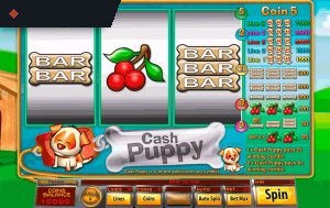 Cash Puppy By Saucify
