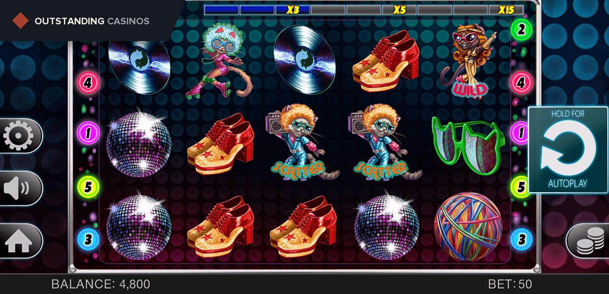 Play Cats Gone Wild By Spinomenal