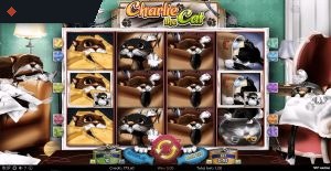 Charlie the Cat By Wazdan