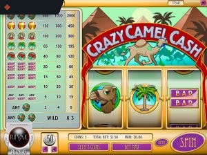 Crazy Camel Cash By Rival