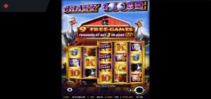 Crazy Goose By Ainsworth