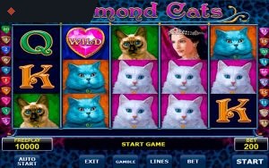 Diamond Cats By Amatic Info