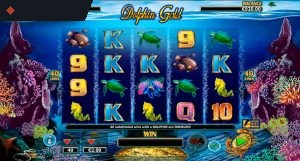 Dolphin Gold By Lightning Box