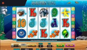 Dolphin King By Amaya