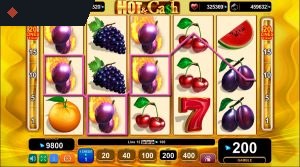 Hot & Cash By EGT