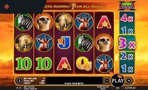 Hot Safari By Pragmatic Play Info