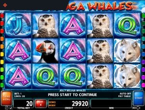 Jolly Beluga Whales By Casino Technology