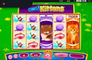 OMG! Kittens By WMS