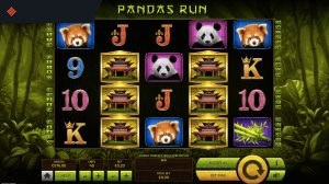 Pandas Run By Tom Horn
