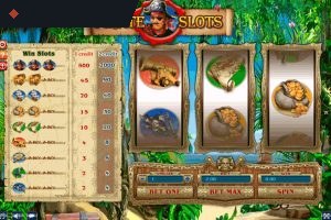 Pirate Slots By GamesOS Info