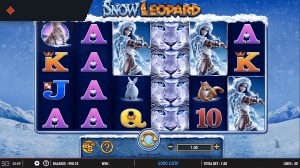 Snow Leopard Slot Machine by Barcrest