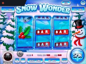 Snow Wonder By Rival