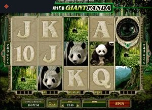 Untamed Giant Panda by Microgaming