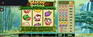 Wacky Panda by Microgaming