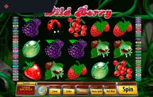 Wild Berry By Saucify
