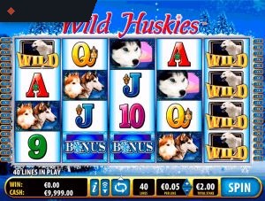 Wild Huskies By Bally Technologies