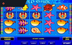 Wild Shark By Amatic Info