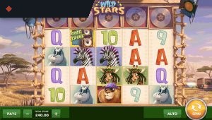 Wild Stars By Cayetano