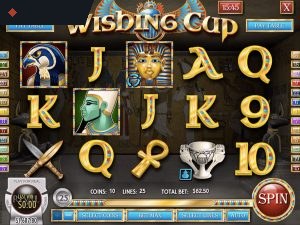 Wishing Cup By Rival
