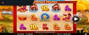 Wonder Hounds Slot Game by NextGen Gaming