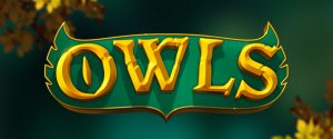 Owls by Nolimit City