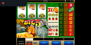 Big 5 by Microgaming