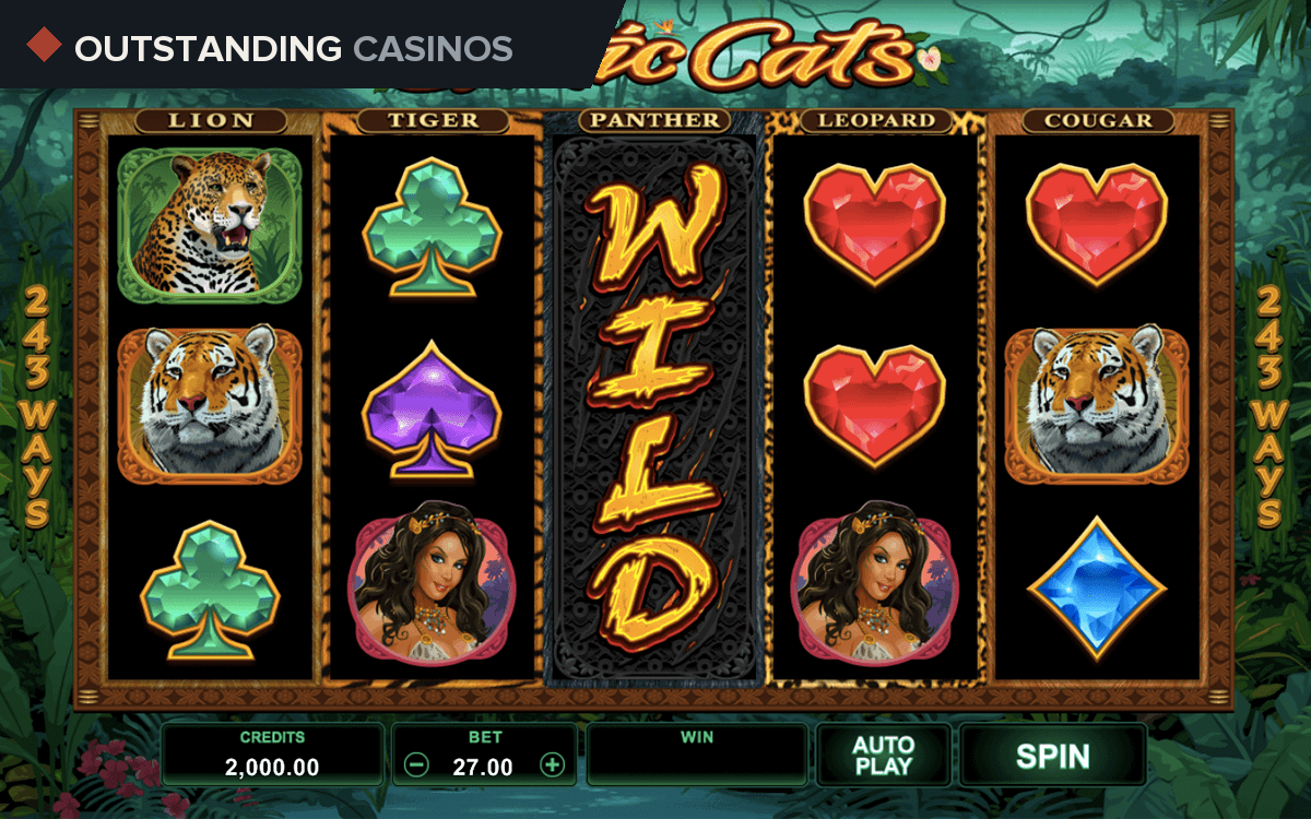 Play Exotic Cats by Microgaming